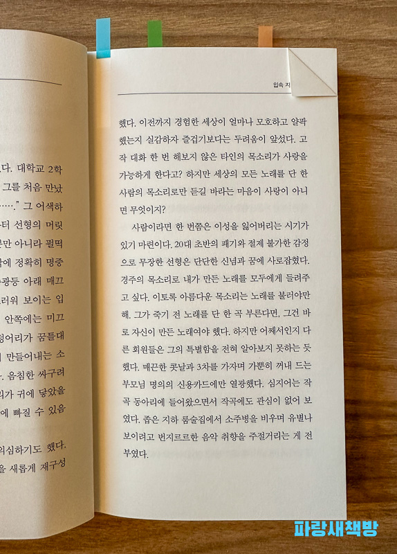 『입속 지느러미』 본문 일부, 사랑과 목소리에 대한 철학적인 문장이 담겨 있음.