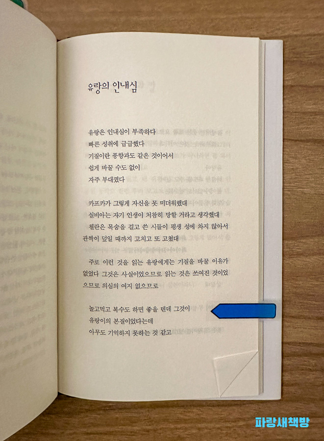 박참새의 시 「유랑의 인내심」 전체 페이지