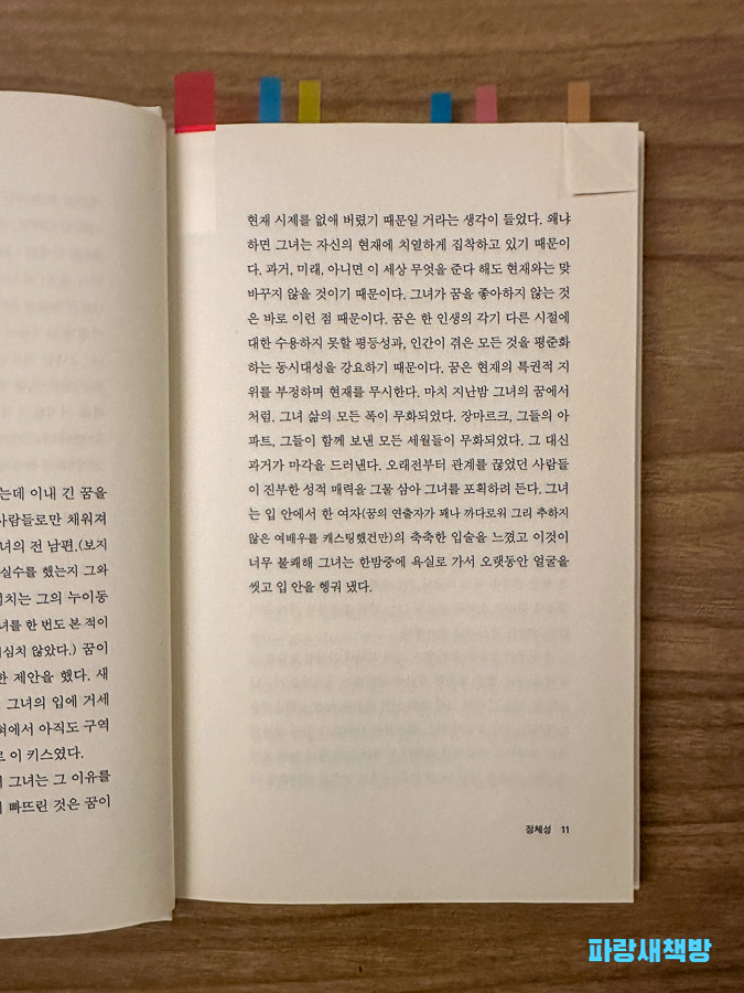 『정체성』 11쪽, 꿈과 현실에 대한 묘사