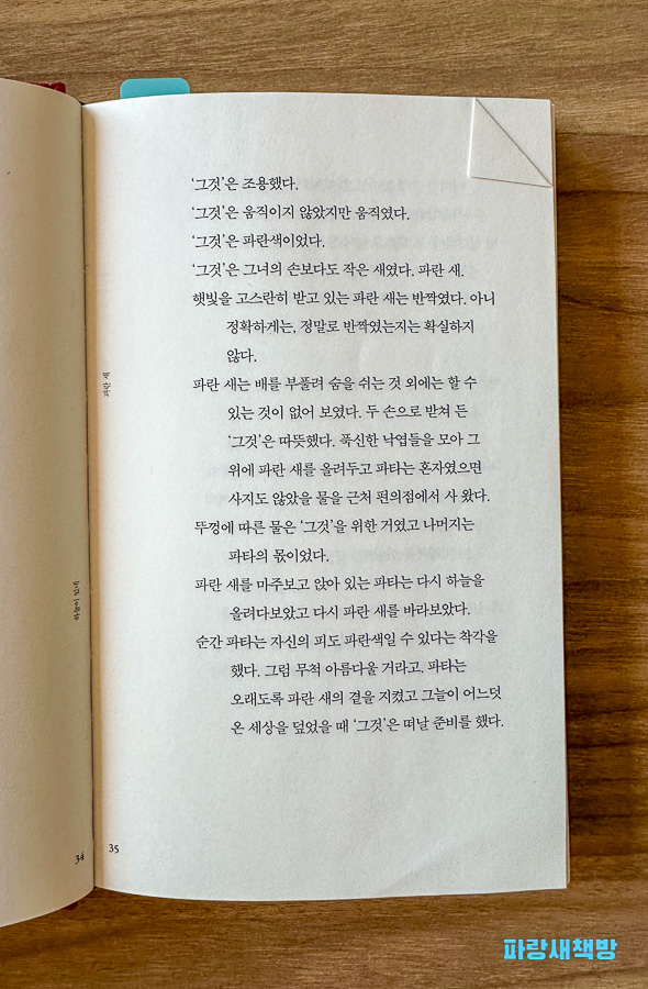 문가영 『파타』 34~35페이지, 파란 새를 바라보는 파타의 심정을 묘사한 본문