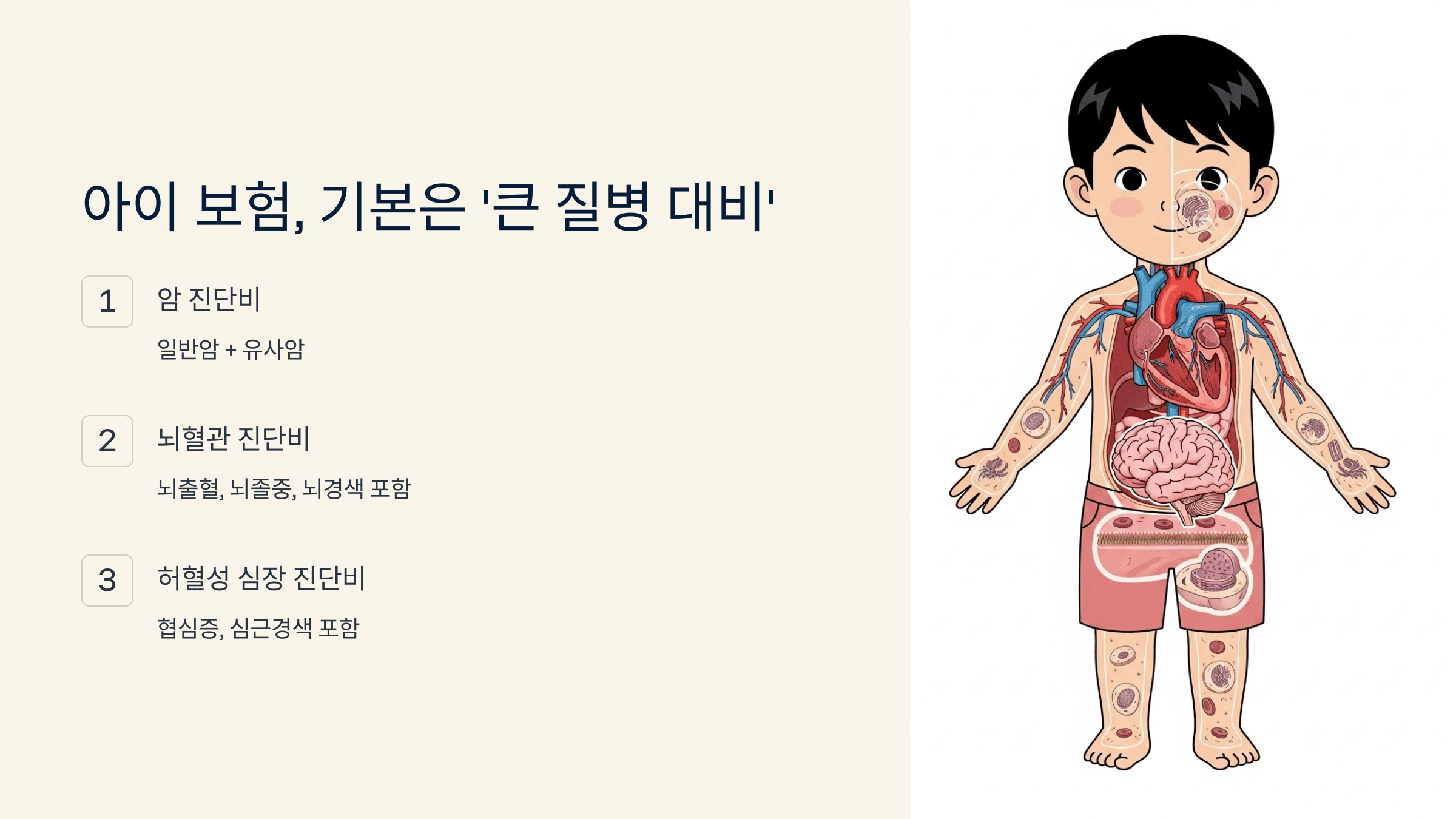 주요 장기를 보여주는 아이의 해부도 일러스트와 암·뇌·심장 진단비 설명