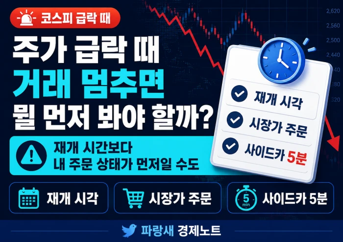 주가 급락 때 거래가 멈추면 재개 시각과 시장가 주문, 사이드카 시간을 먼저 확인해야 한다는 내용을 담은 파랑새 경제노트 가로형 금융 정보 이미지